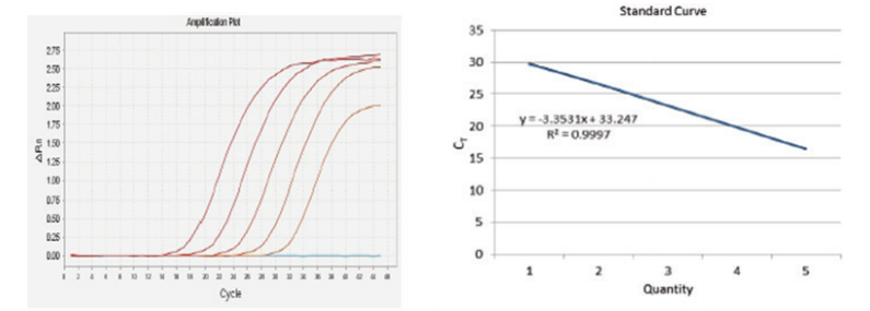 FastFire qPCR PreMix (Probe) (500 rxns) FastFire QPCR PreMix Probe