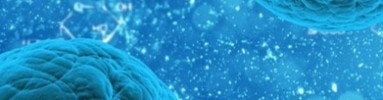 Mammalian Cell Protein Expression Files 383x100 1