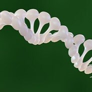 Plasmid Purification Feature Img01