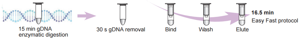 Rapid RNA Extraction