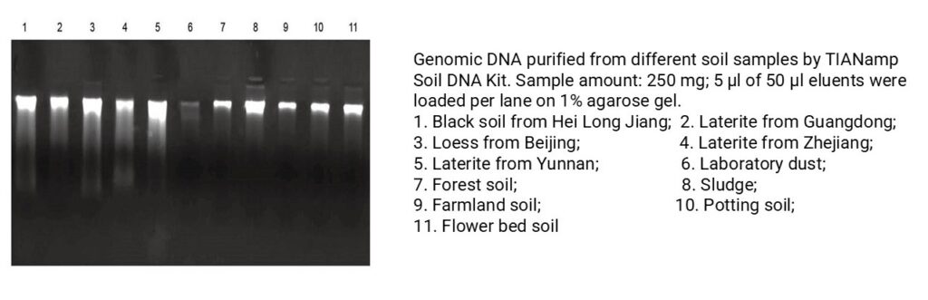 Soil DNA Extraction Kit 1024x331