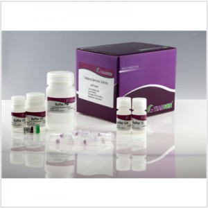 TIANamp Genomic DNA Kit (200 preps)