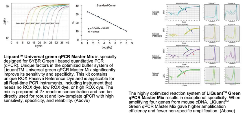 Universal QPCR Master Mix