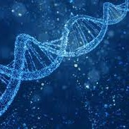 Dna Clone Img02