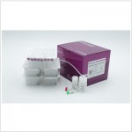 EndoFree Maxi Plasmid Kit  (10 preps)