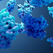 Protein Expression02