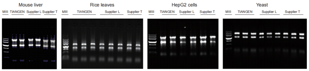 RNAsimple Total RNA Kit (50 preps) Total RNA Extraction Kit 1024x236