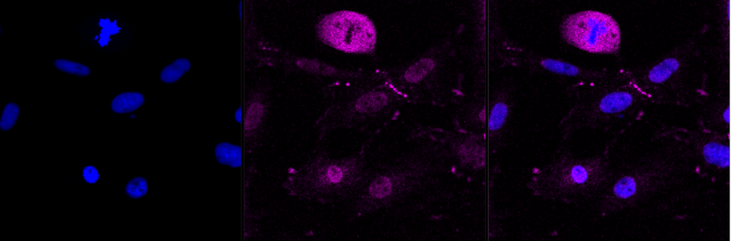 61111 IC 1 1024x338