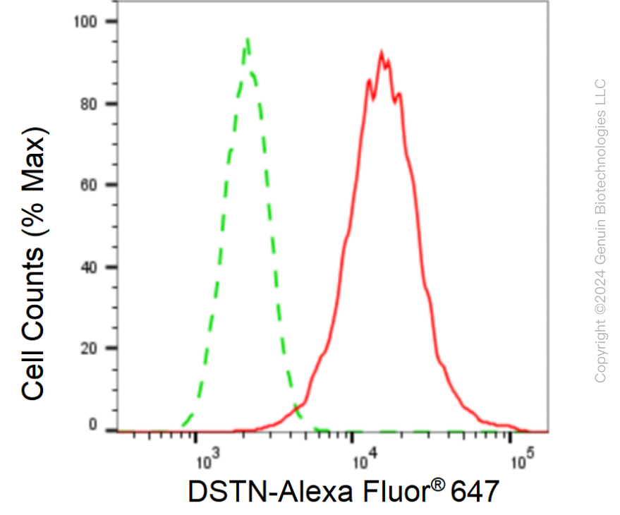 KD-Validated DSTN Rabbit mAb (20 μl) 61122 FCM 1