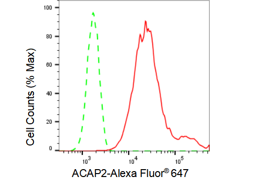 KD-Validated ACAP2 Rabbit mAb (20 μl) ABCB1 antibody
