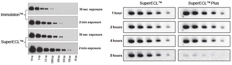 SuperECL2