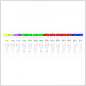 VAHTS Universal Plus DNA Library Prep Kit for Illumina V2 (24 rxns)