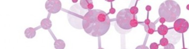 Peptide Synthesis 383x100