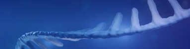 Sgrna Synthesis 383x100