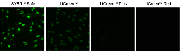 LiGreen3