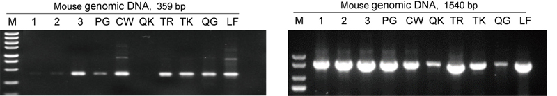Genotyping Kit3