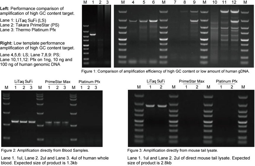 litaq™ ultra hifi dna polymerase (500 u)