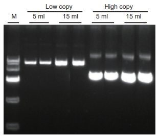 tianprep mini plus plasmid kit (50 preps)